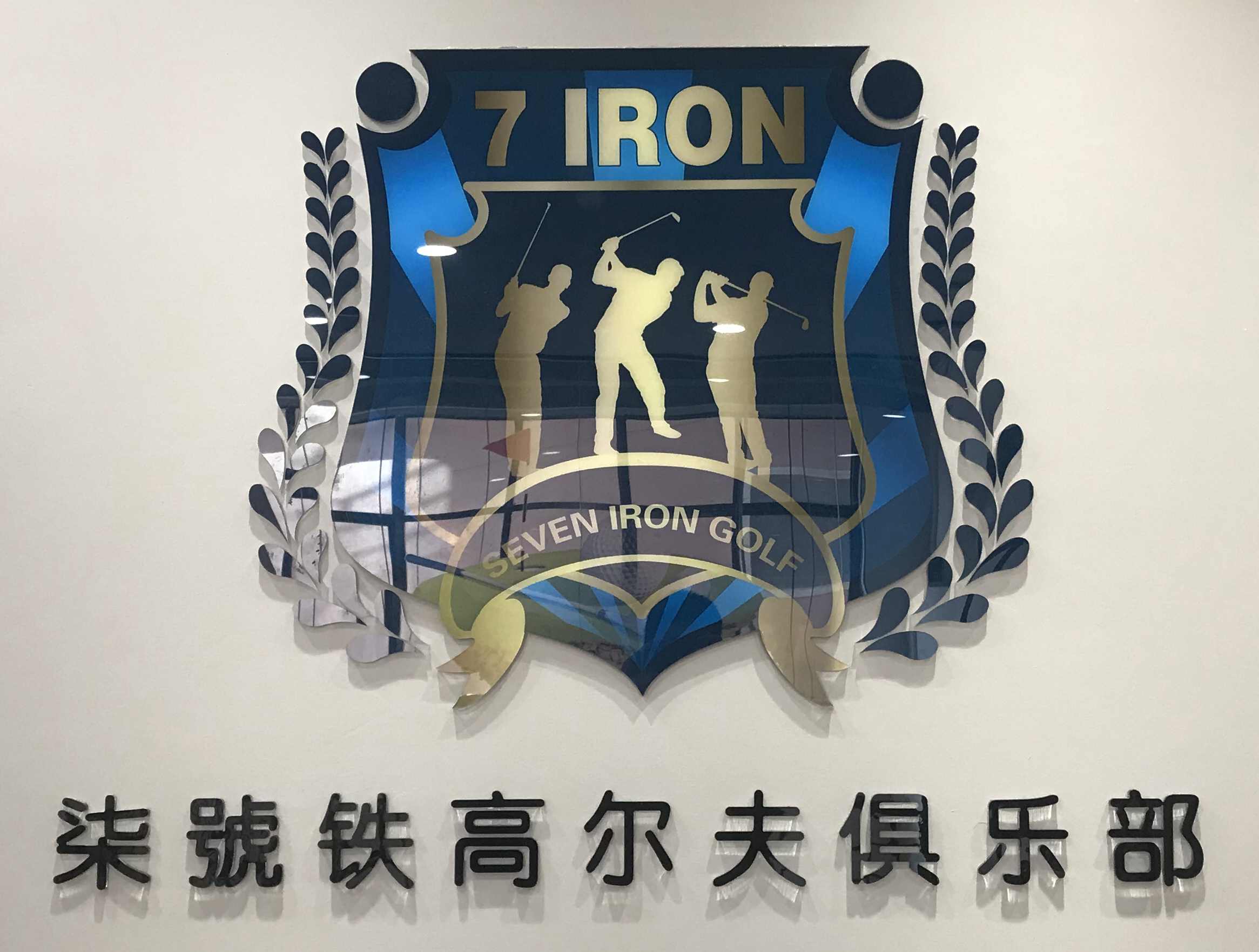 图