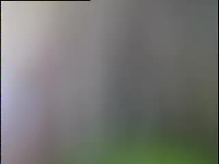 的挥杆视频