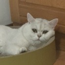 爆炸珊