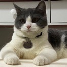 闫