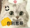 张美丽