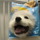 陈怡霖